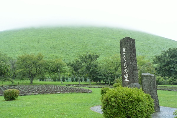 さくらの里 【伊豆高原パルテール撮影】