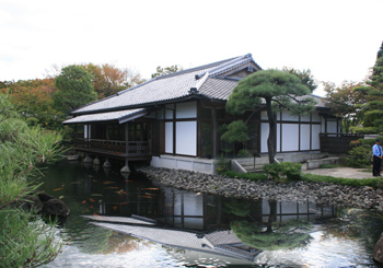 IMG_7228_映り込み.jpg