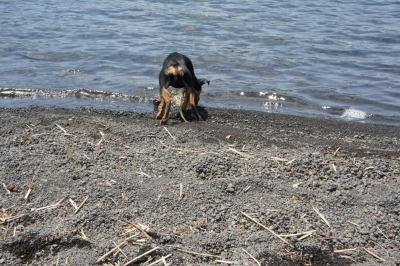 DSC00681.jpg