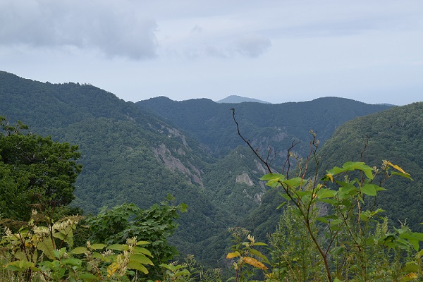 展望台からの光景