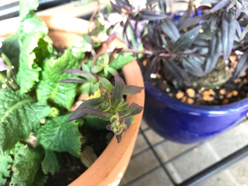 rblog-20180408162109-03.jpg