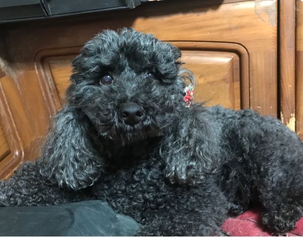 rblog-20190107102910-01.jpg