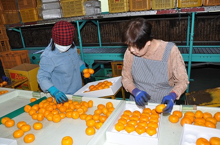 s-DSC_0409.jpg