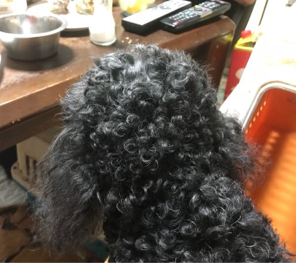 rblog-20190309195315-01.jpg