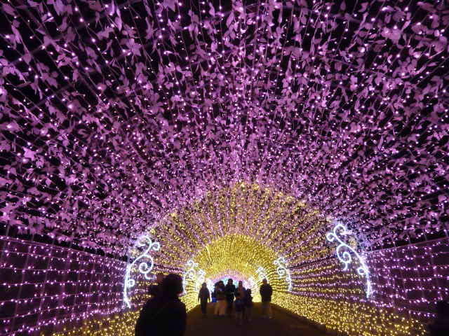 158 光のトンネル