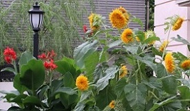 IMG_2996-11.jpg