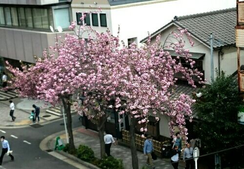rblog-20180406212646-01.jpg