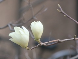 IMG_3195-18.jpg