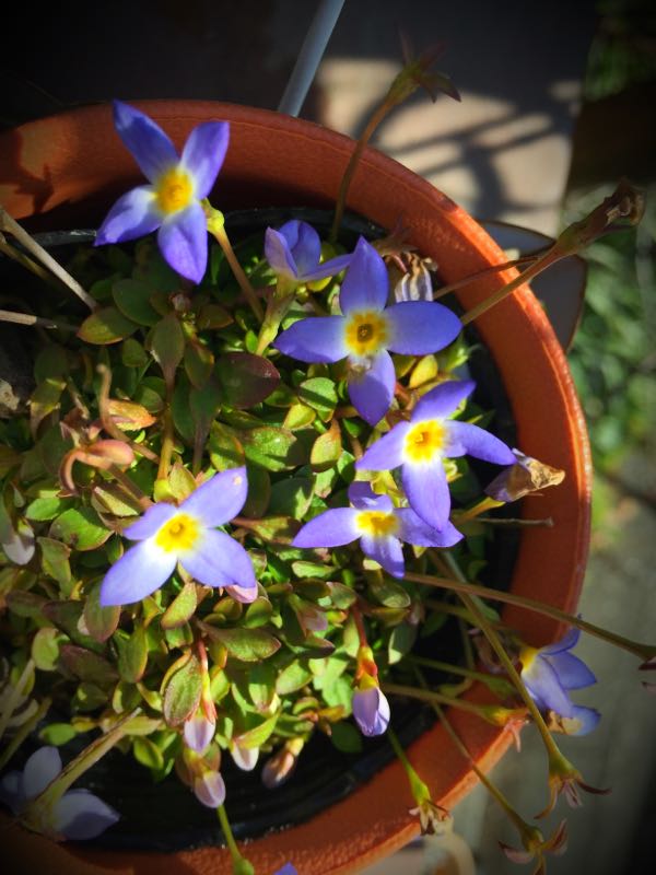 rblog-20150227215930-03.jpg