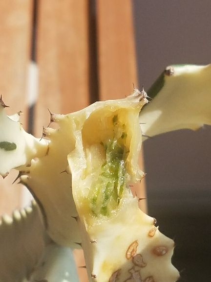 rblog-20180721084739-02.jpg