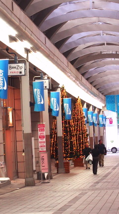 Xmasムード　1　11.19　2015　ｐ
