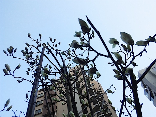 120327_163127.jpg