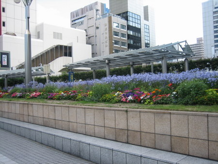 整備された公園の一角