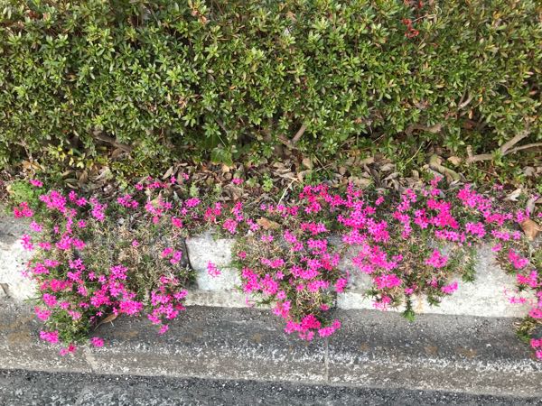 rblog-20180408182201-09.jpg