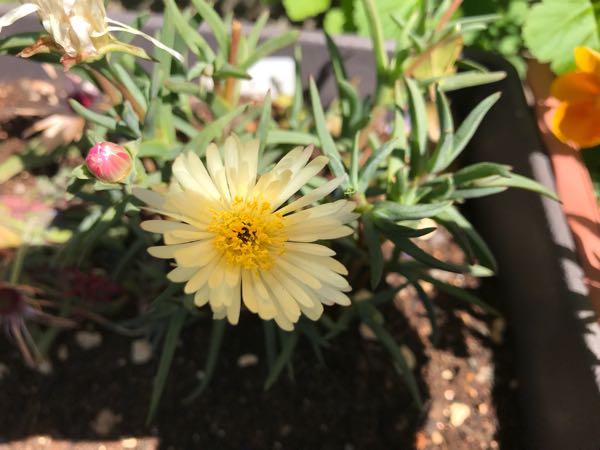 rblog-20180409192642-01.jpg