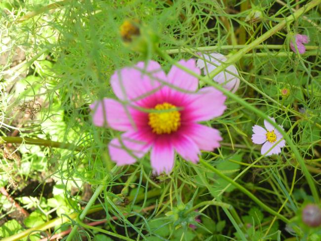 DSCN6213.JPG