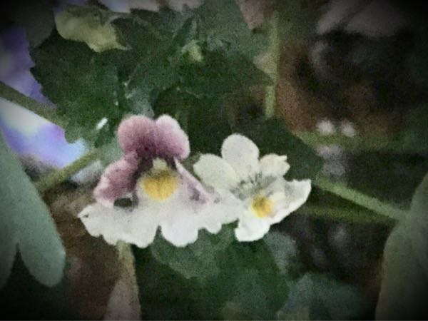 rblog-20160529211447-04.jpg