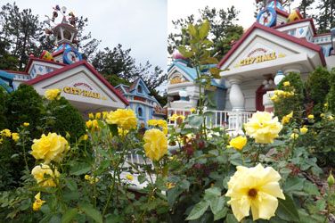 2012Flower48