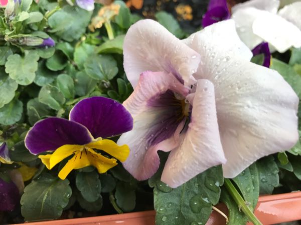 rblog-20170223222019-05.jpg