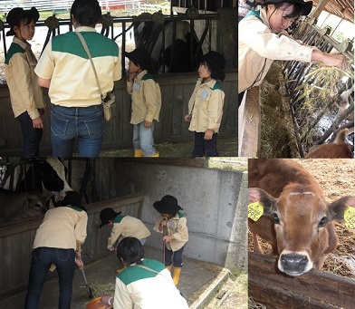 まかいの牧場３