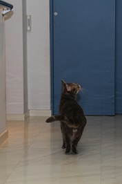 5DA_4923-20.jpg