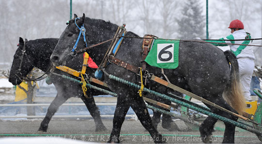 20140126Ob1R3yo_C-1_08