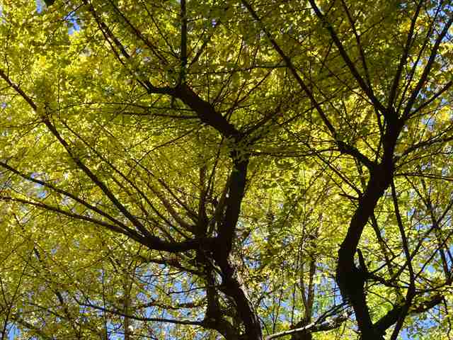 DSC07675_R.JPG