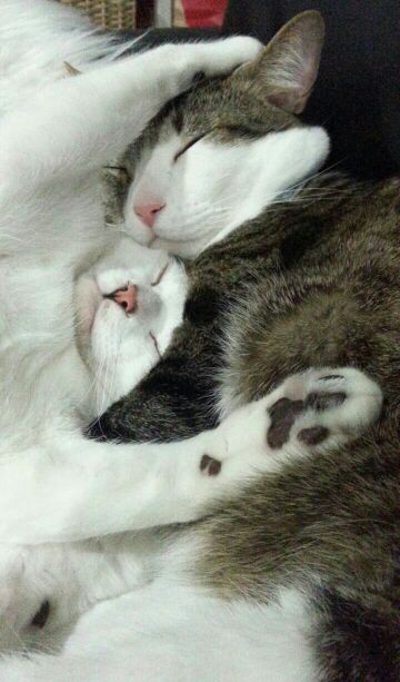 rblog-20140619121119-03.jpg