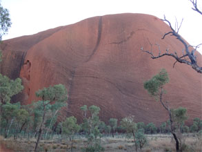 OZ892.jpg