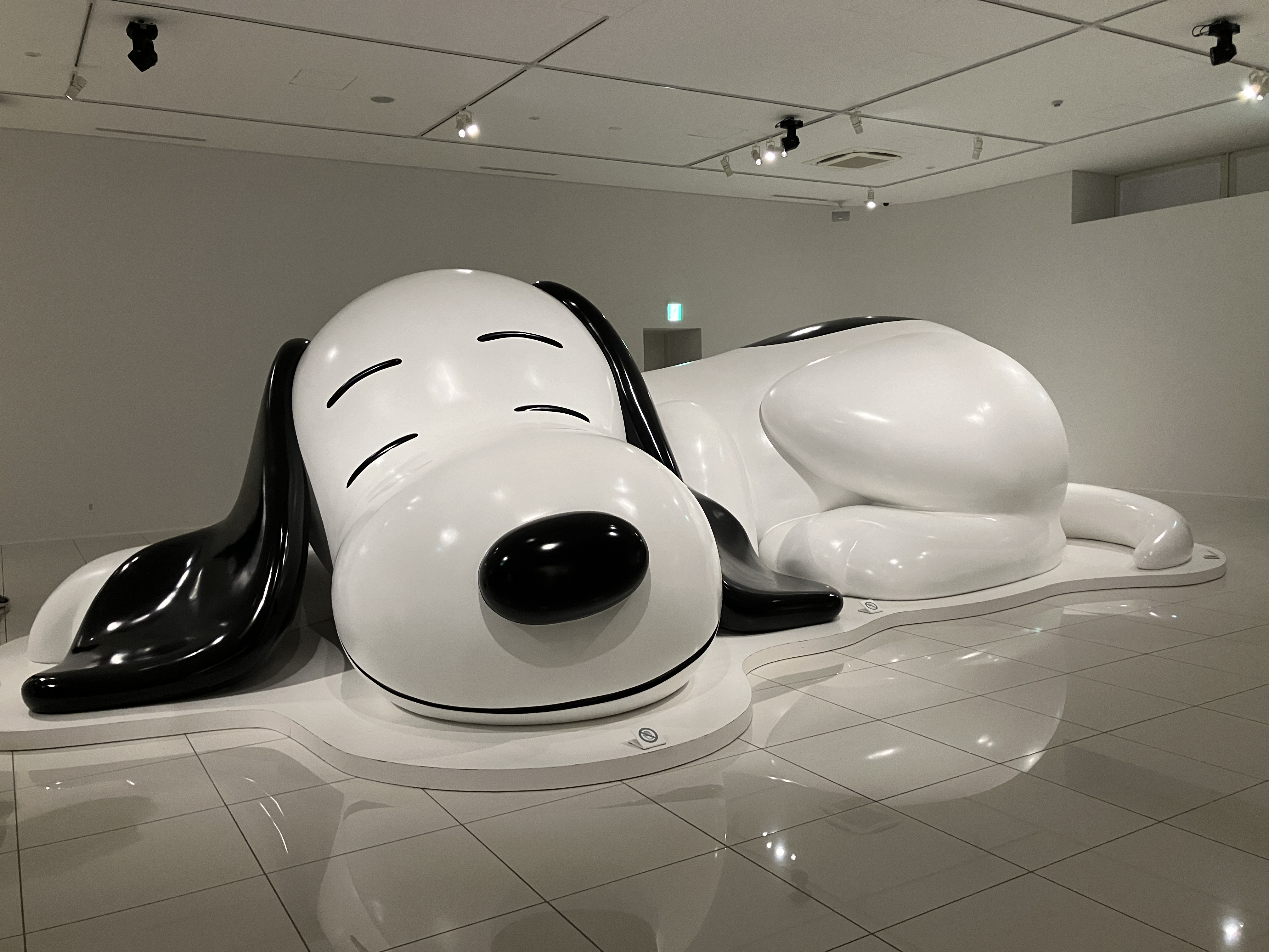 1級 FP技能士AQUA aquaのブログ