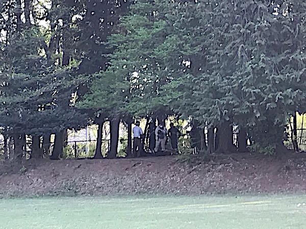 rblog-20180408180306-04.jpg