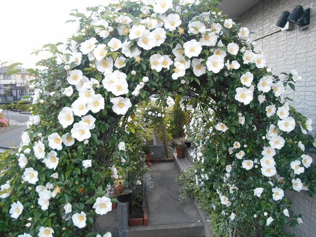 DSCN0264.JPG