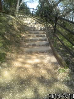 土塁の階段