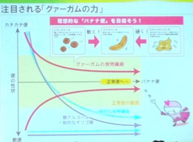 サンファイバー04.jpg