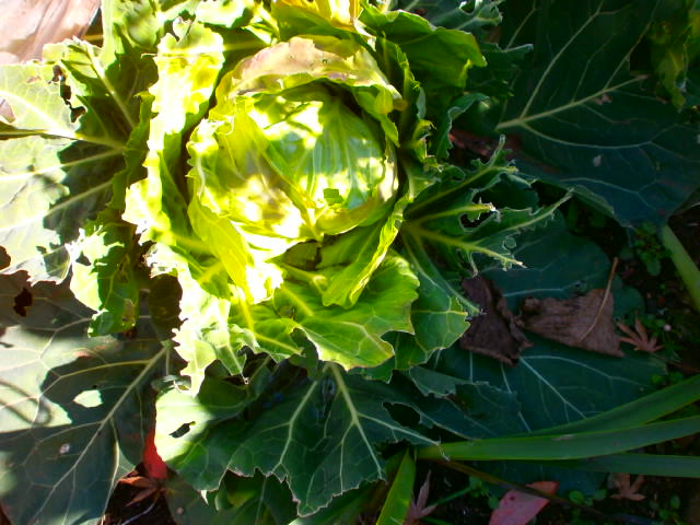 P2010187.JPG