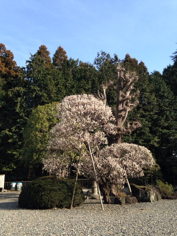 rblog-20160229165152-01.jpg