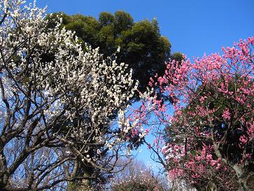 IMG_3240a.JPG