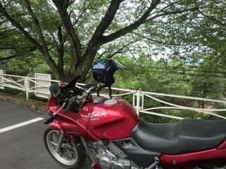 CIMG0645.jpg