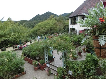 神戸布引ハーブ園 その1 | ダラの庭ノート - 楽天ブログ