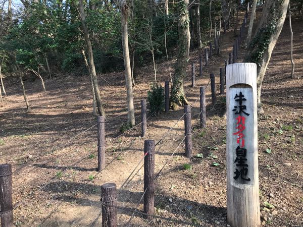 rblog-20190320171145-03.jpg