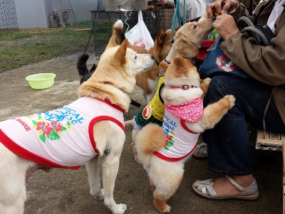 20160504_114957 (400x301).jpg