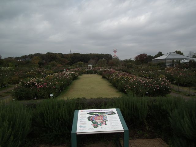 DSCF8508.JPG