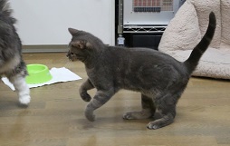 5DA_6685-15.jpg
