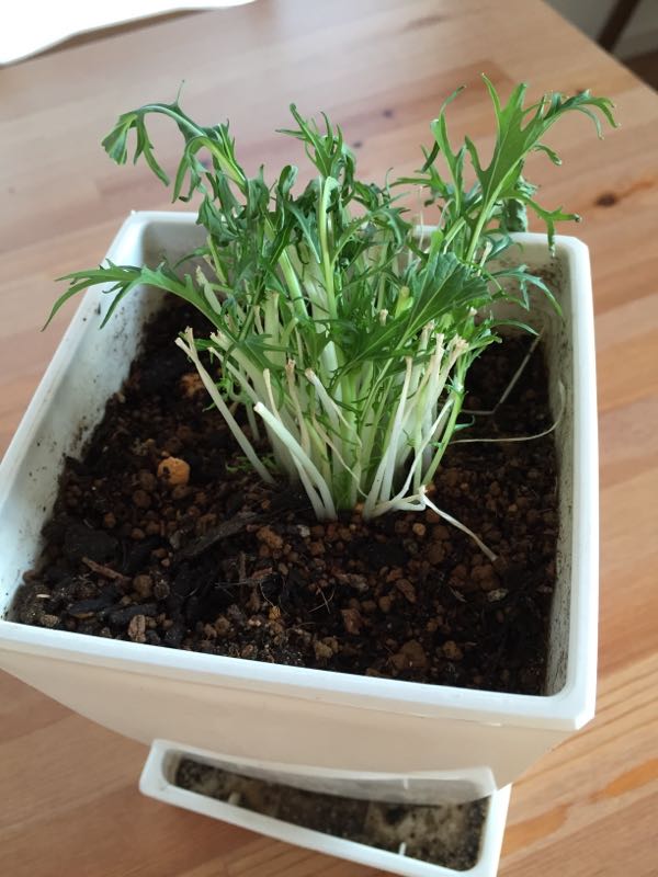 rblog-20150324163922-01.jpg