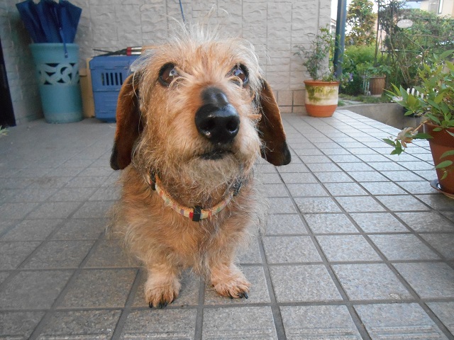 DSCN0456.JPG