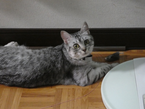 P1010224.JPG