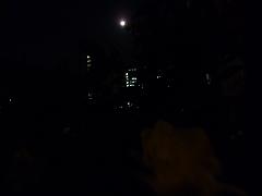 P1040610.JPG