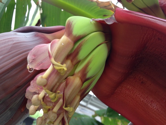 rblog-20131007125133-01.jpg