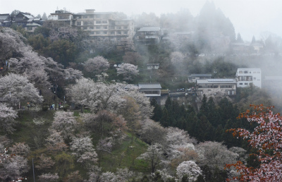 吉野6