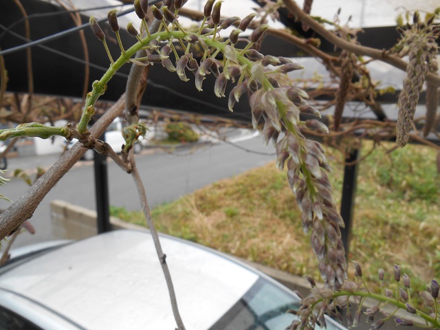 DSCN1525.JPG
